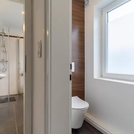 Achtern-poggendiek-moewenkolonie-eg *